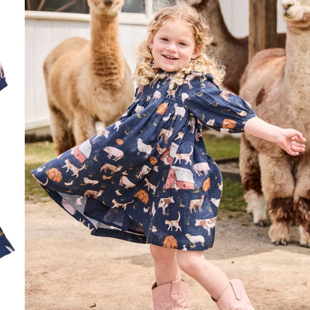PINK CHICKEN Navy blue Farm Animal Print Dress THANKSGIVING style